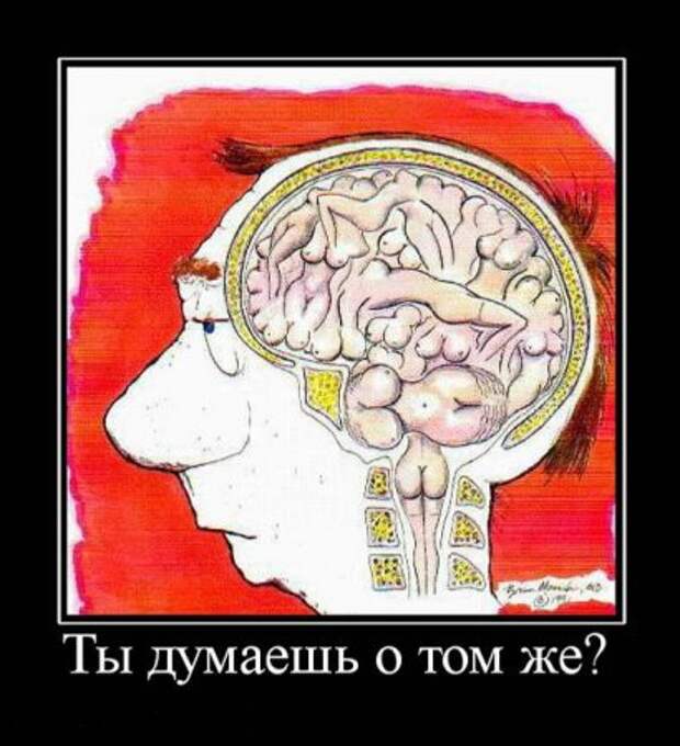 Демотиваторы, поприкольней из новых.