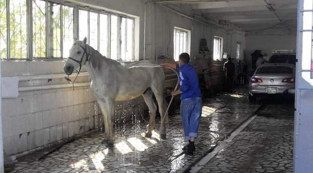 14.  авто, автоприколы, приколы