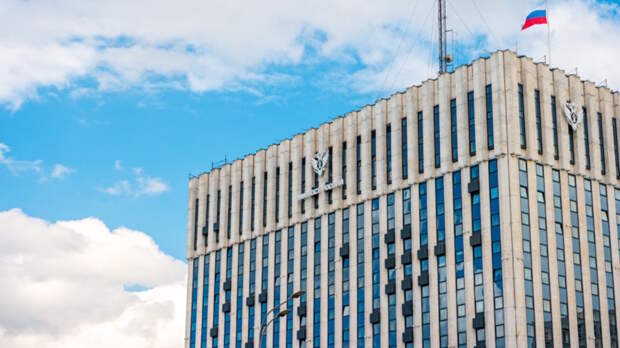 Социолога и журналиста Гаазе признали иноагентом