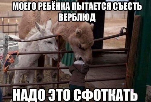 Прикольные картинки в пятницу (43 шт)