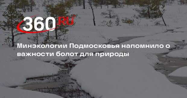 Минэкологии Подмосковья напомнило о важности болот для природы