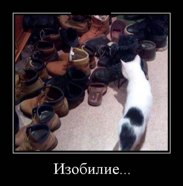 Демотиваторы (30 фото)