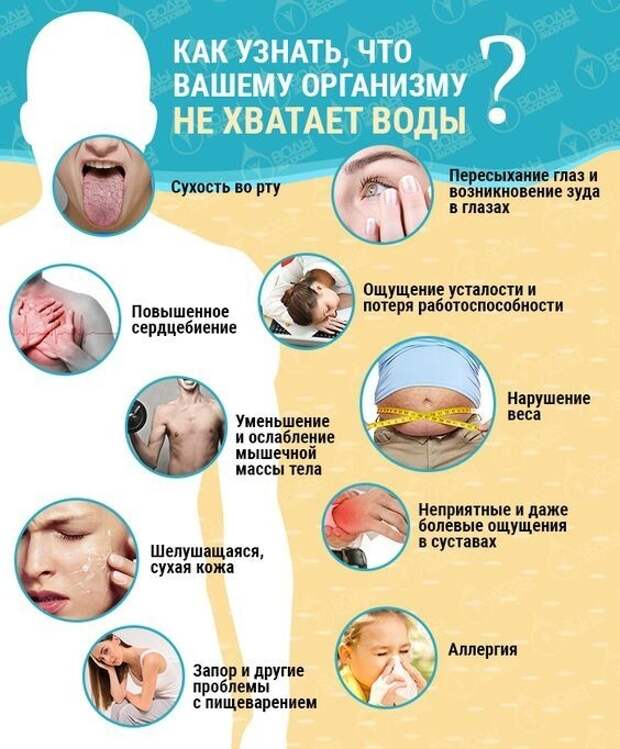 20 полезных  шпаргалок о нашем теле, здоровье, еде и хорошей жизни