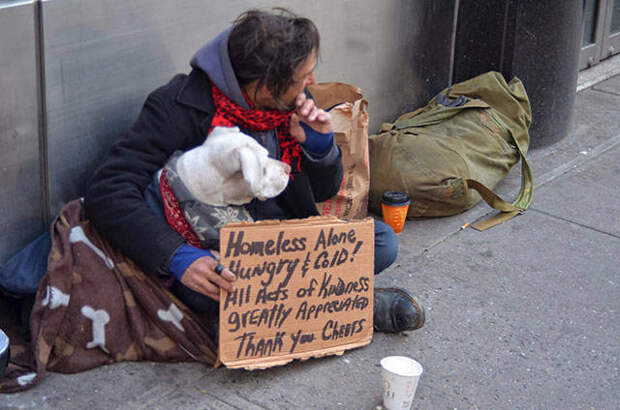 dogs_dont_care_about_money_all_they_need_is_love_640_22