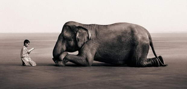 Люди и животные в фотографиях Gregory Colbert Люди и животные в фотографиях Gregory Colbert