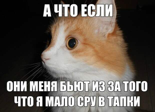 Всё в кучу 22
