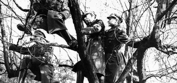 Члены движения «Гитлерюгенд». Фотография Франца Рота. 20 февраля 1938 г. Фото: AP/ТАСС
