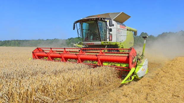 Урожай зерновых в Ростовской области оказался на четверть ниже прошлогоднего