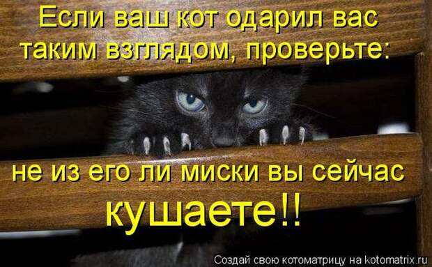 Мысли вслух :)