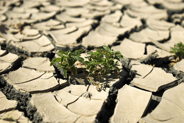 Nature: засухи могут ускорять развитие устойчивости к антибиотикам