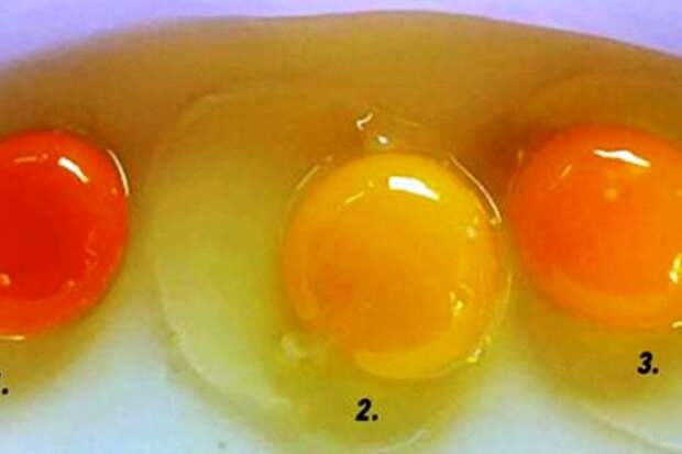 safe_image (14)
