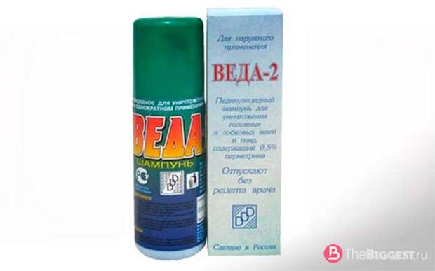 Веда