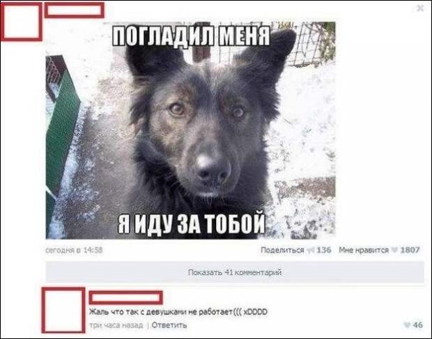 Сетевое.
