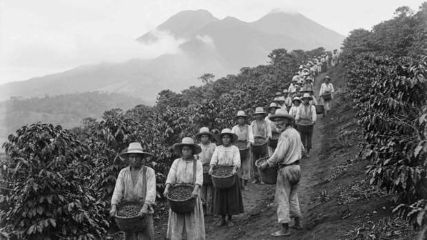 Темная история черного напитка: что связывает кофе с капитализмом