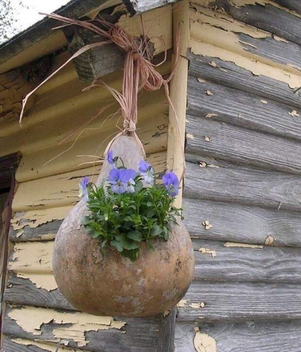 Кашпо из тыквы /Фото:bestlandscapeideas.com