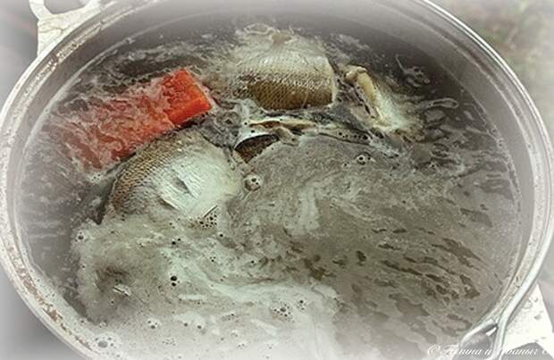 УХА из водки с головёшкой Еда, Уха, Уха на костре, Рыба, Тройная уха, Длиннопост