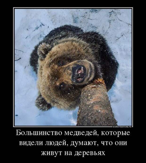 Позитивный пост+38
