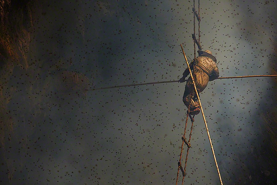 Непальские охотники за медом honeyhunters15 Непальские охотники за медом