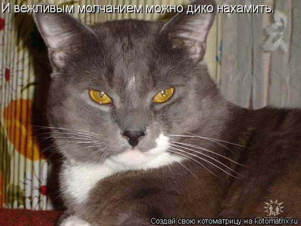 Котоматрицы за декабрь (45 штук) Котоматрицы за декабрь (45 штук)