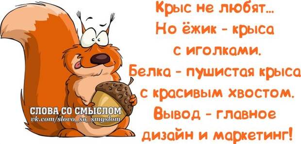Прикольные фразочки в забавных картинках