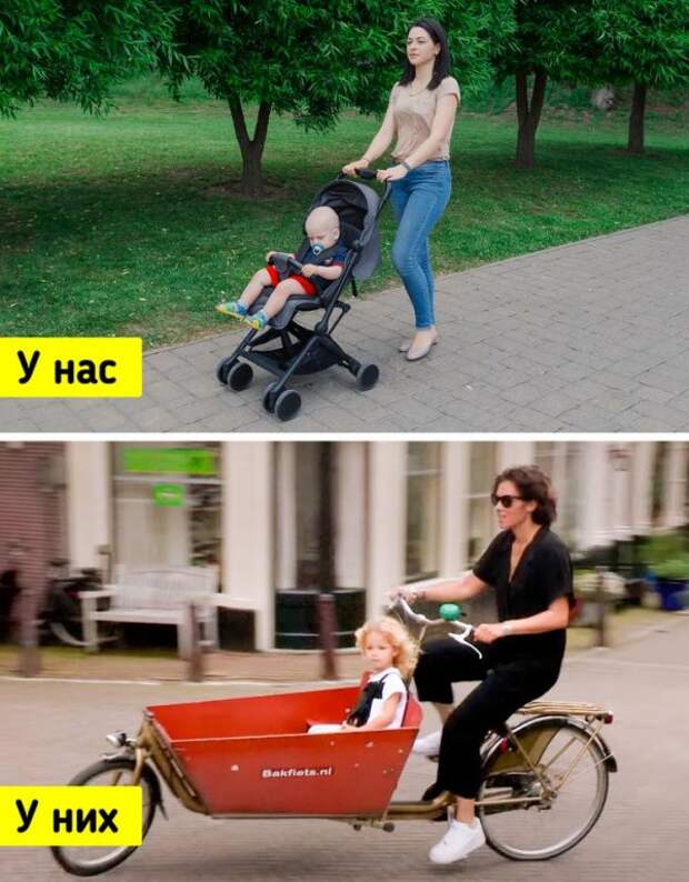 Интересные факты и снимки о Нидерландах