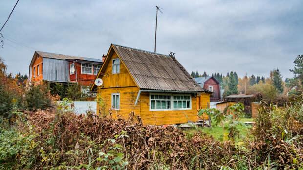 Заработал новый закон: в Омской области начали изымать заброшенные дачные участки