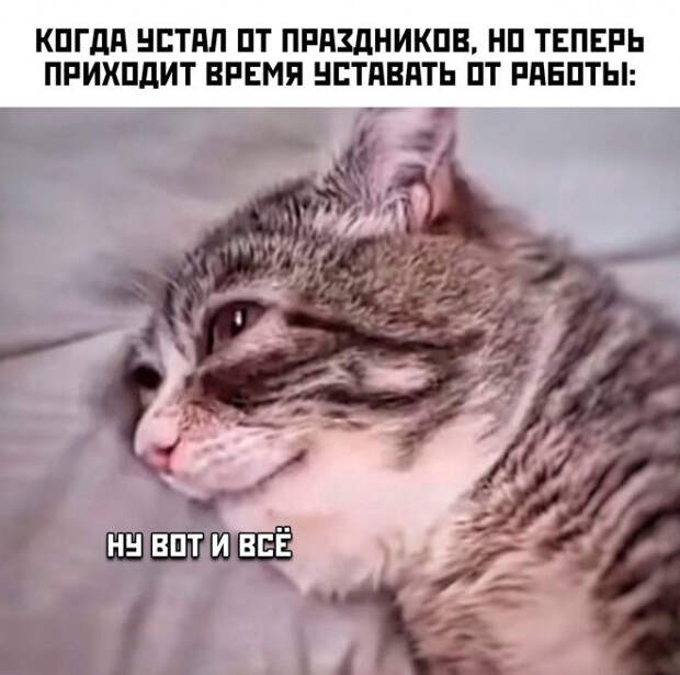 мем
