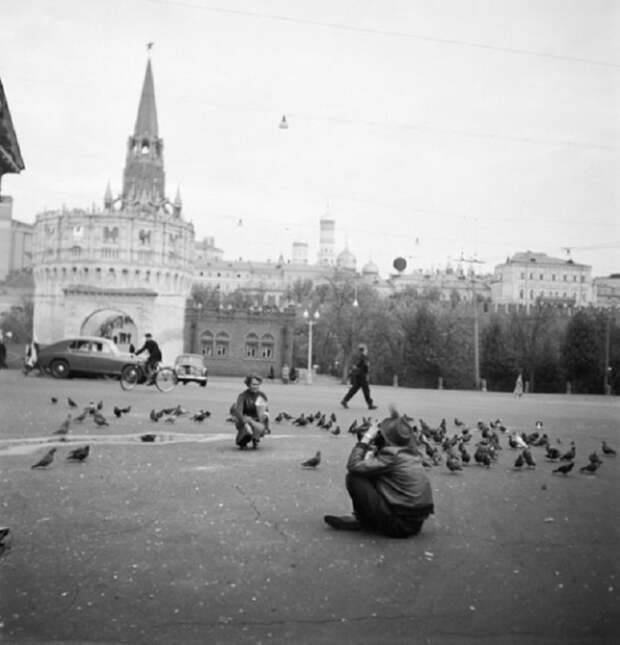 Среди голубей...СССР, Москва, 1950 год.