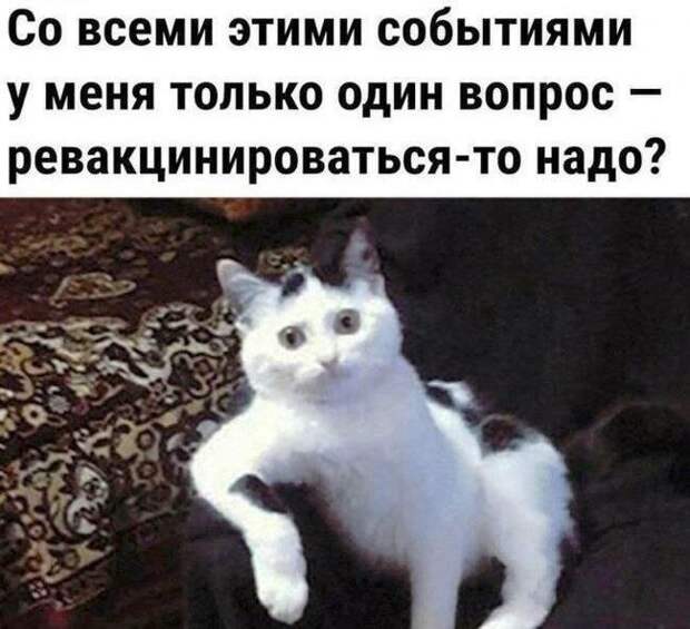 Донецкая группа новостей, Донецк ДНР