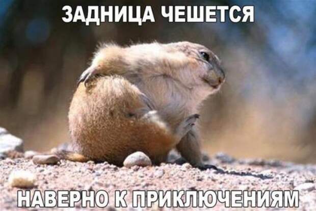 Похожее изображение
