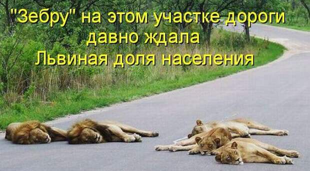 Мысли вслух :)