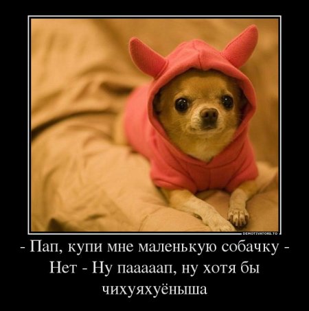 Немотивированные демотиваторы.