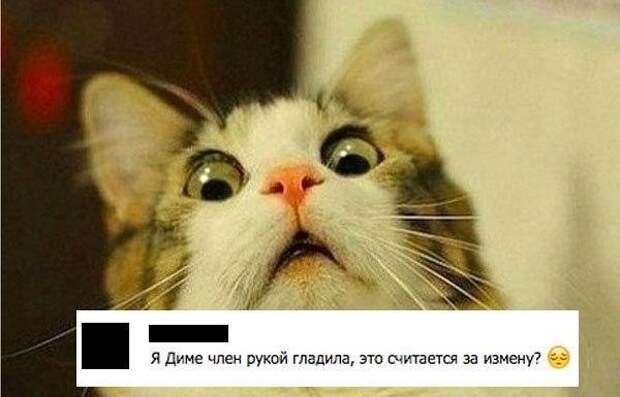 Смешные и пошлые картинки Смешные и пошлые картинки комментарии, смс, соц сети, юмор