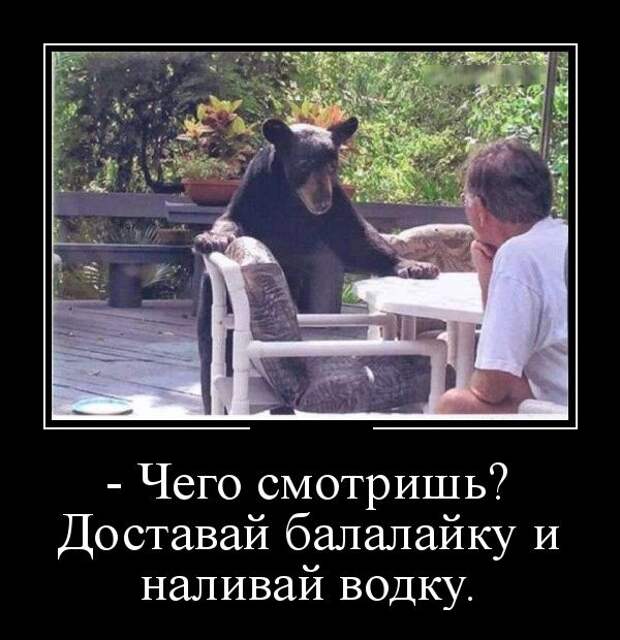 Демотиваторы