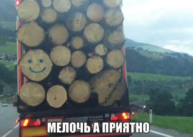 Автоприколы (40 фото)