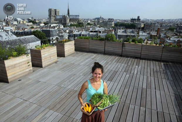 Франция. Париж. 23 июля. Студентка-биотехнолог Сибилла выращивает овощи на крыше здания в центре города. (REUTERS/Philippe Wojazer)