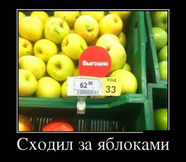 Демотиваторы (30 фото)