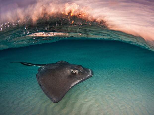 Лучшие фотографии от National Geographic апреля 2016 года