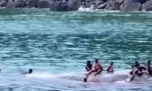 Фото: 9gag/скриншот