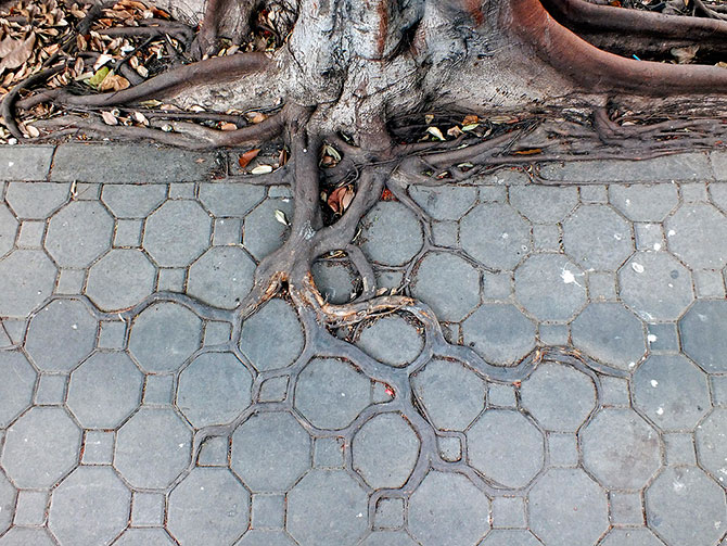 60 лучших фотографий года по версии журнала TwistedSifter