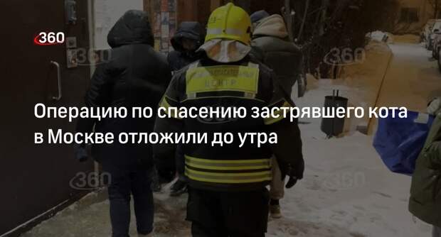 МЧС: спасение застрявшего кота в Москве на улице Мусы Джалиля продолжат утром