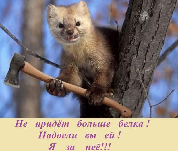 ВИннЕГРЕТ 56 ВИннЕГРЕТ 56