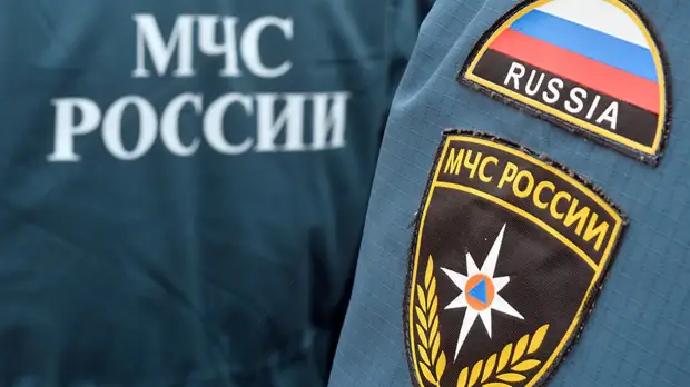 В Калининградской области обезвредили два боеприпаса времён Великой Отечественной войны