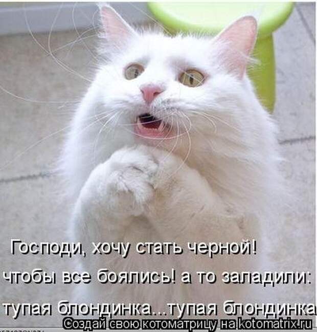 Мысли вслух :)
