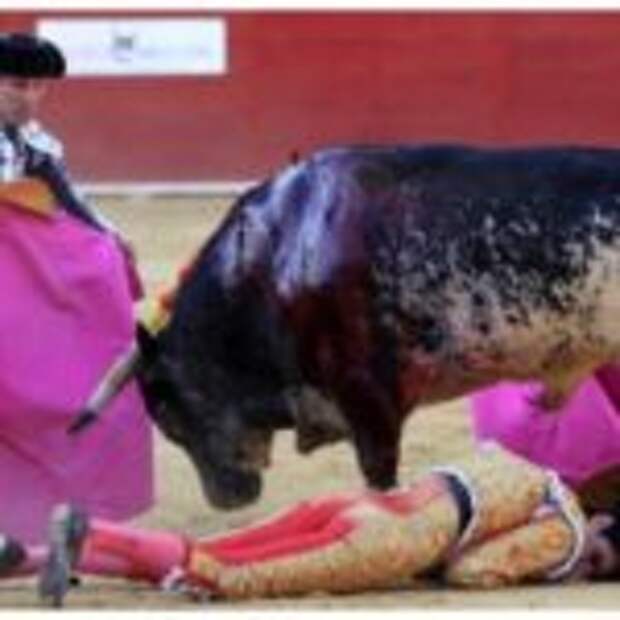В Испании впервые за 31 год бык убил матадора