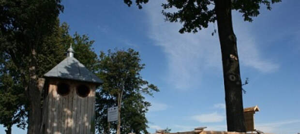 Во Львовской области предприниматель избил работника ТЦК металлической трубой