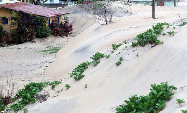 Мир без людей