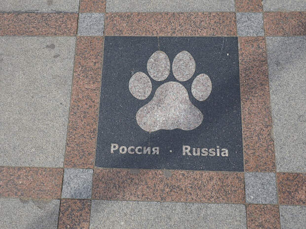 Россия, Владивосток - тигриная тропа