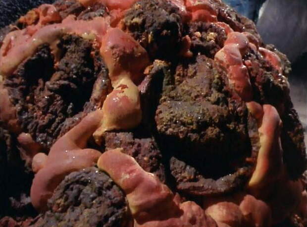 horta horta