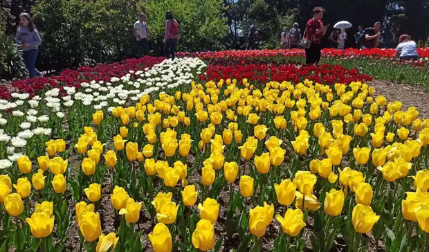 РИА ФАН/Дарья Сергеева